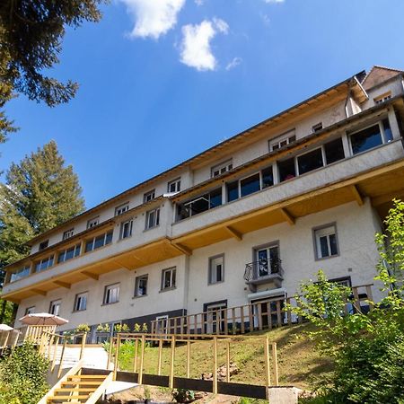Le Chalet Du Lac Le Chatenet-en-Dognon Exteriér fotografie