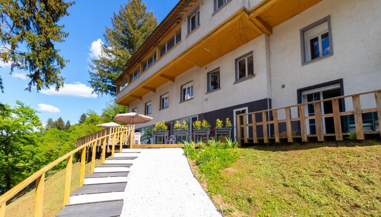 Le Chalet Du Lac Le Chatenet-en-Dognon Exteriér fotografie